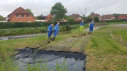 I. Entwsserungsverband Emden: Schilfmattenaufzucht und -ausbringung zur Ufersicherung Herbst 2022